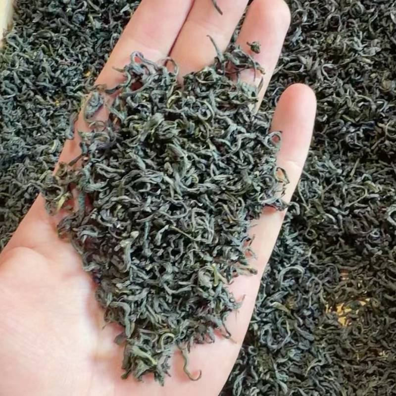 松阳香茶（高山云雾炒青绿茶厂家直销价钱便宜。低价位茶叶。
