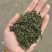 松阳香茶（高山云雾炒青绿茶厂家直销价钱便宜。低价位茶叶。