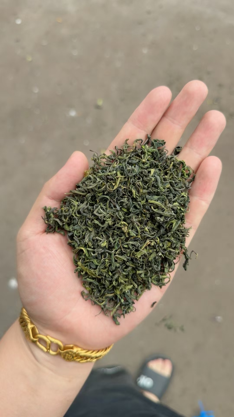 松阳香茶（高山云雾炒青绿茶厂家直销价钱便宜。低价位茶叶。