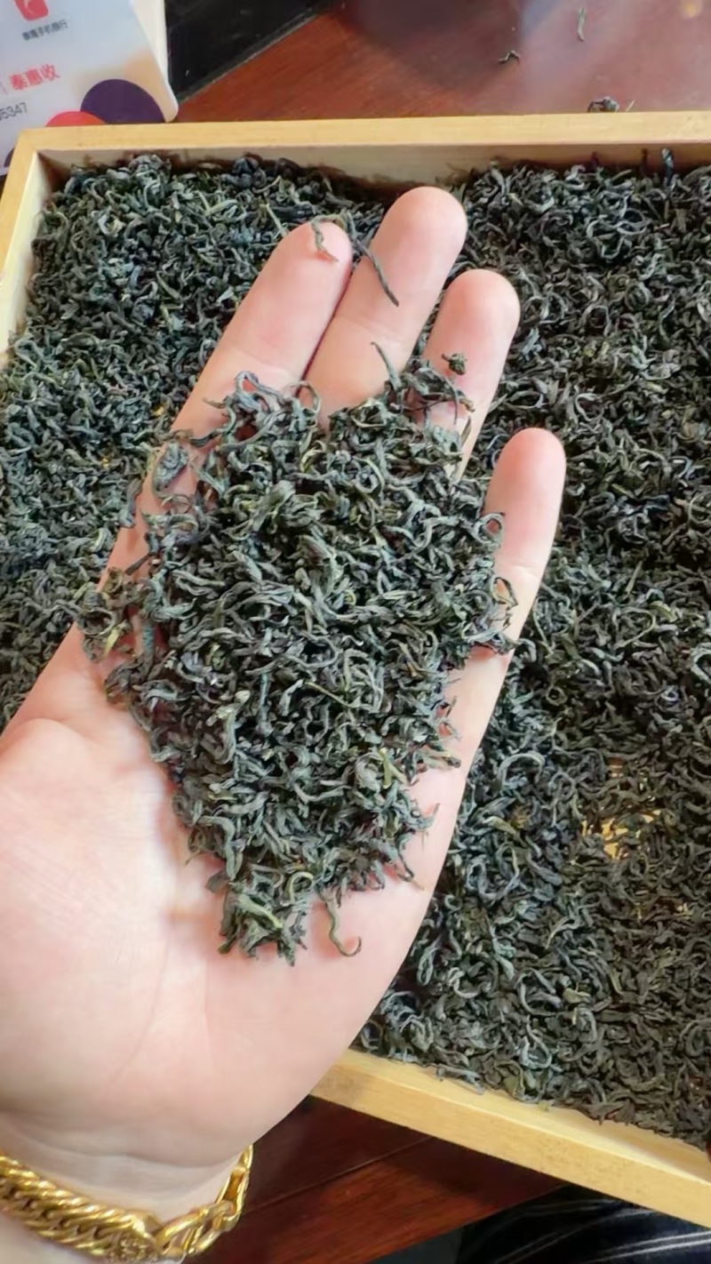 松阳香茶（高山云雾炒青绿茶厂家直销价钱便宜。低价位茶叶。