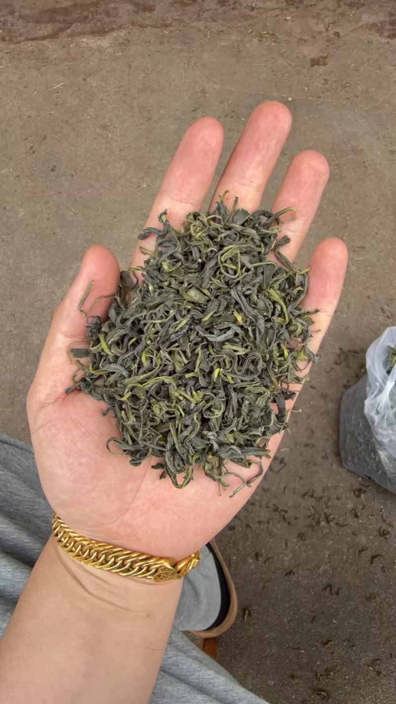 松阳香茶（高山云雾炒青绿茶厂家直销价钱便宜。低价位茶叶。