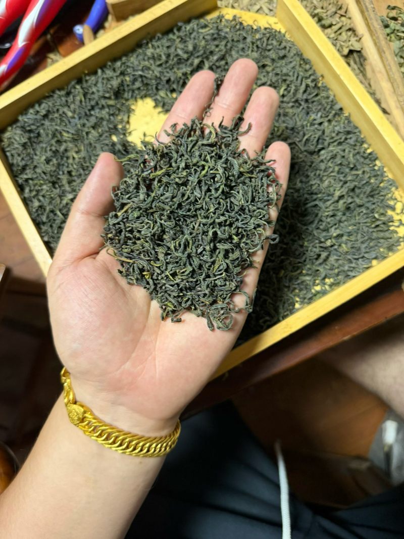 松阳香茶（高山云雾炒青绿茶厂家直销价钱便宜。低价位茶叶。