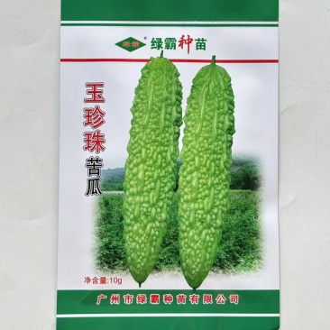 绿霸玉珍珠苦瓜种子早熟肉厚长棒形珍珠瘤白里透绿有光泽春秋