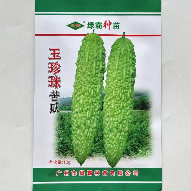 绿霸玉珍珠苦瓜种子早熟肉厚长棒形珍珠瘤白里透绿有光泽春秋