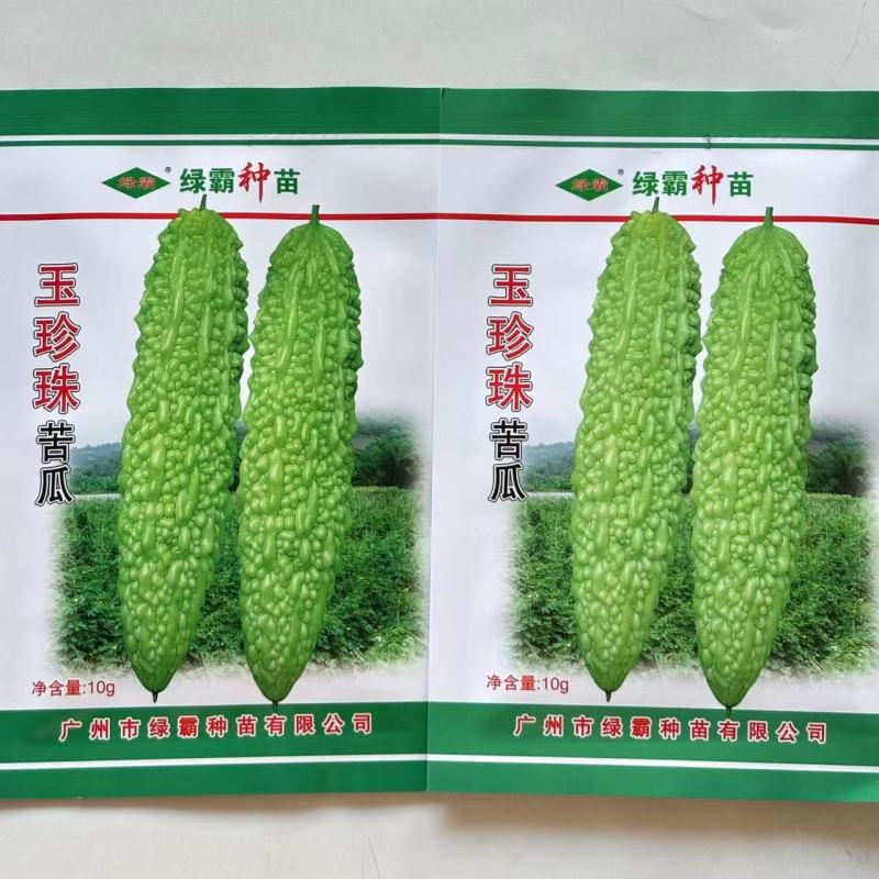 绿霸玉珍珠苦瓜种子早熟肉厚长棒形珍珠瘤白里透绿有光泽春秋