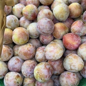 桃形李大批量上了小中大果子都有，也可以装箱
