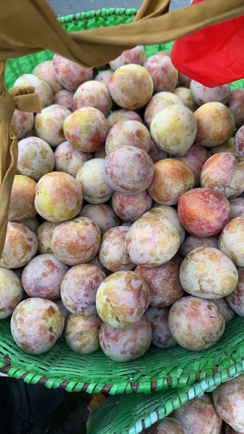 桃形李大批量上了小中大果子都有，也可以装箱