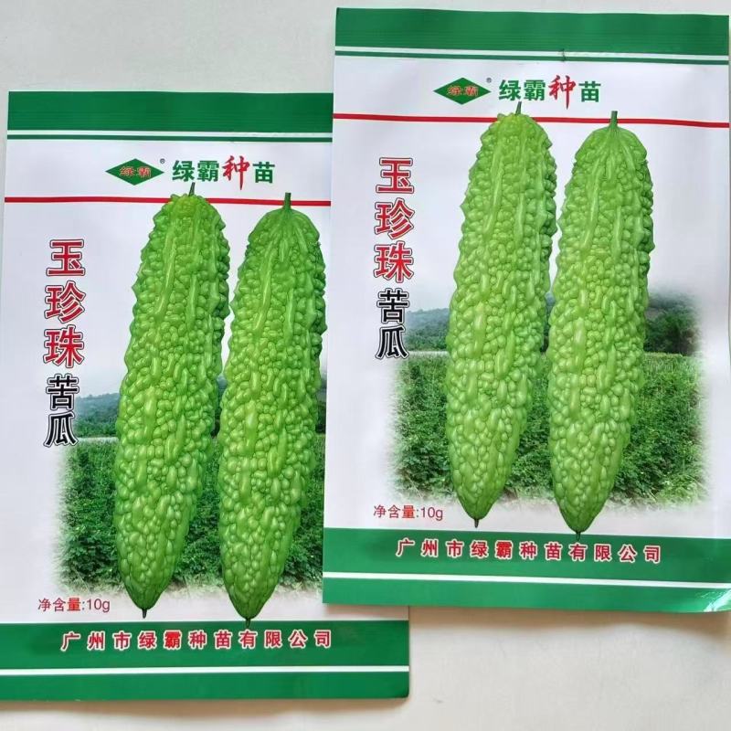 绿霸玉珍珠苦瓜种子早熟肉厚长棒形珍珠瘤白里透绿有光泽春秋