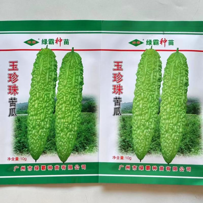 绿霸玉珍珠苦瓜种子早熟肉厚长棒形珍珠瘤白里透绿有光泽春秋