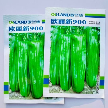 欧兰德欧丽900大果薄皮辣椒种籽高产抗病春秋播长灯笼泡椒