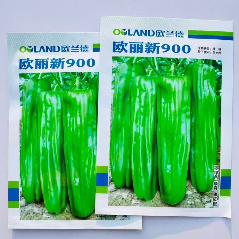 欧兰德欧丽900大果薄皮辣椒种籽高产抗病春秋播长灯笼泡椒