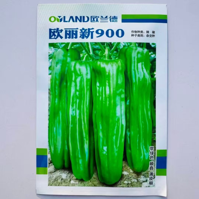 欧兰德欧丽900大果薄皮辣椒种籽高产抗病春秋播长灯笼泡椒