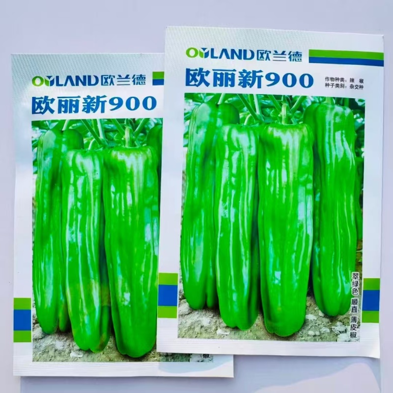 欧兰德欧丽900大果薄皮辣椒种籽高产抗病春秋播长灯笼泡椒
