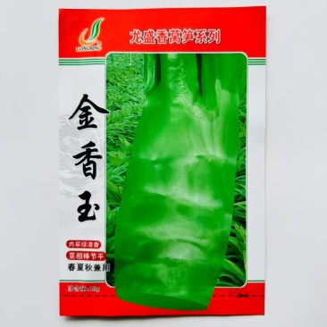 莴笋种子金香玉抗热产量高肉质清香抗病能力强春夏秋主栽莴笋