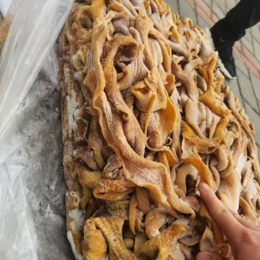 五成熟破开牛小肠