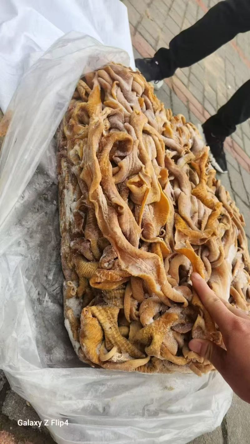 五成熟破开牛小肠