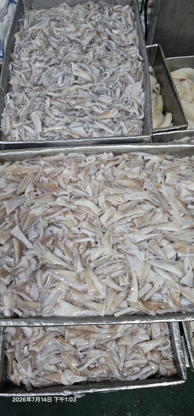 真鱿阿尤鱿鱼原汁口边，不泡水！品质保证支持视频看货