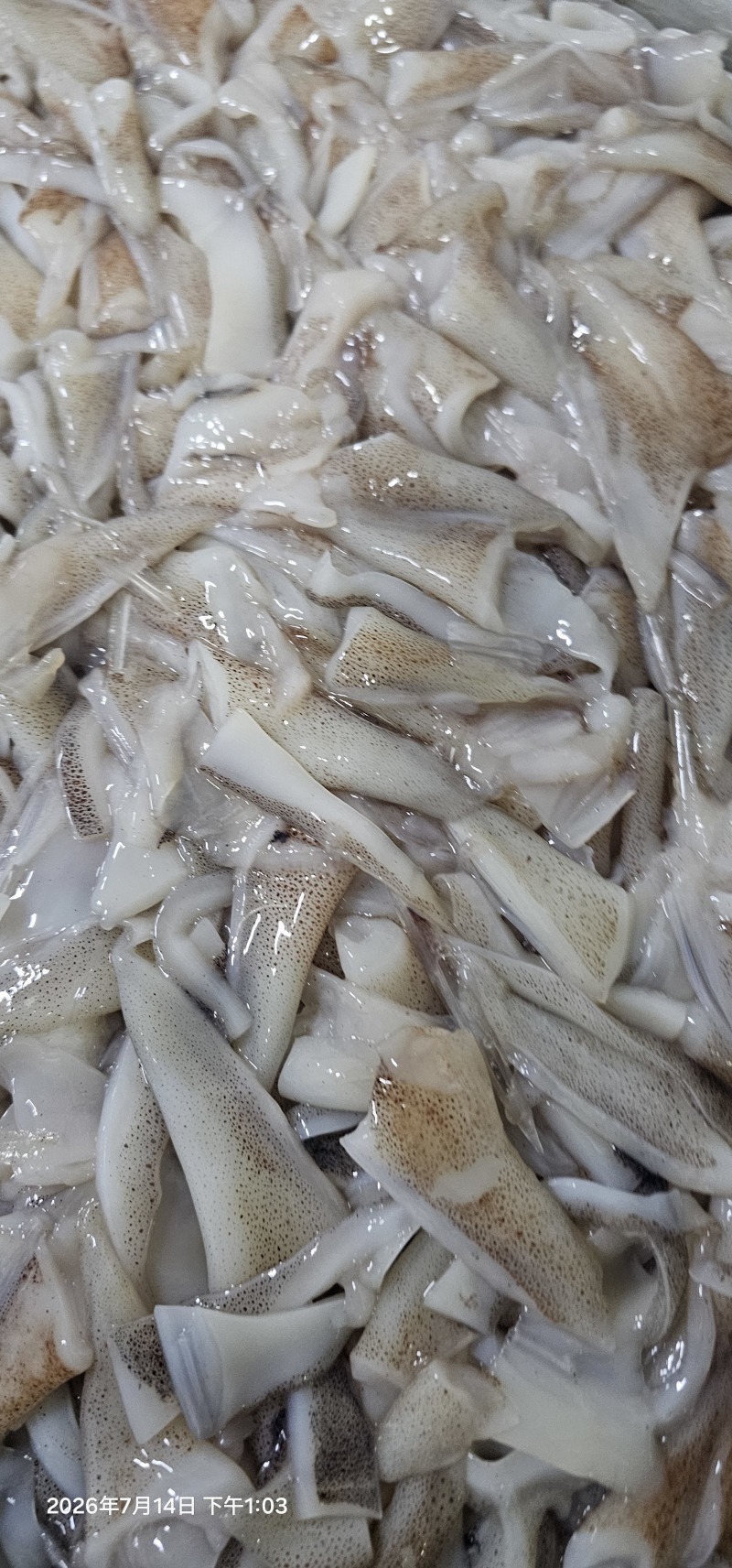 真鱿阿尤鱿鱼原汁口边，不泡水！品质保证支持视频看货