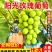 『阳光玫瑰葡萄』大颗粒糖分足串行紧实/货量大承接电商批发