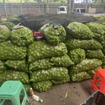 青皮鲜核桃