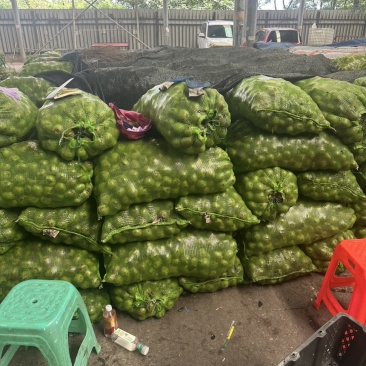 青皮鲜核桃