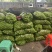 青皮鲜核桃
