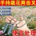 手持松土除草两齿神器铲子园艺种菜养花施肥工具松土二齿松土