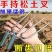 手持松土除草两齿神器铲子园艺种菜养花施肥工具松土二齿松土