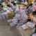 广东一件代发含箱10斤净重9斤，省外快递另算