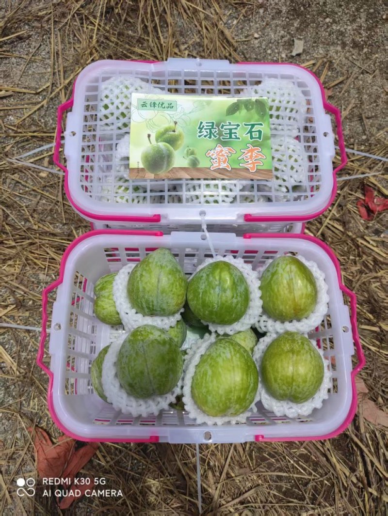 广东一件代发含箱10斤净重9斤，省外快递另算