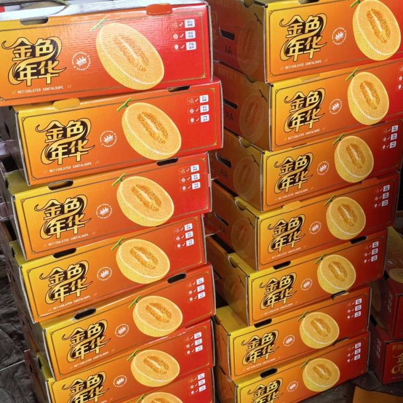 甘肃产区金色年华，皮薄肉厚，15个糖，支持一件代发