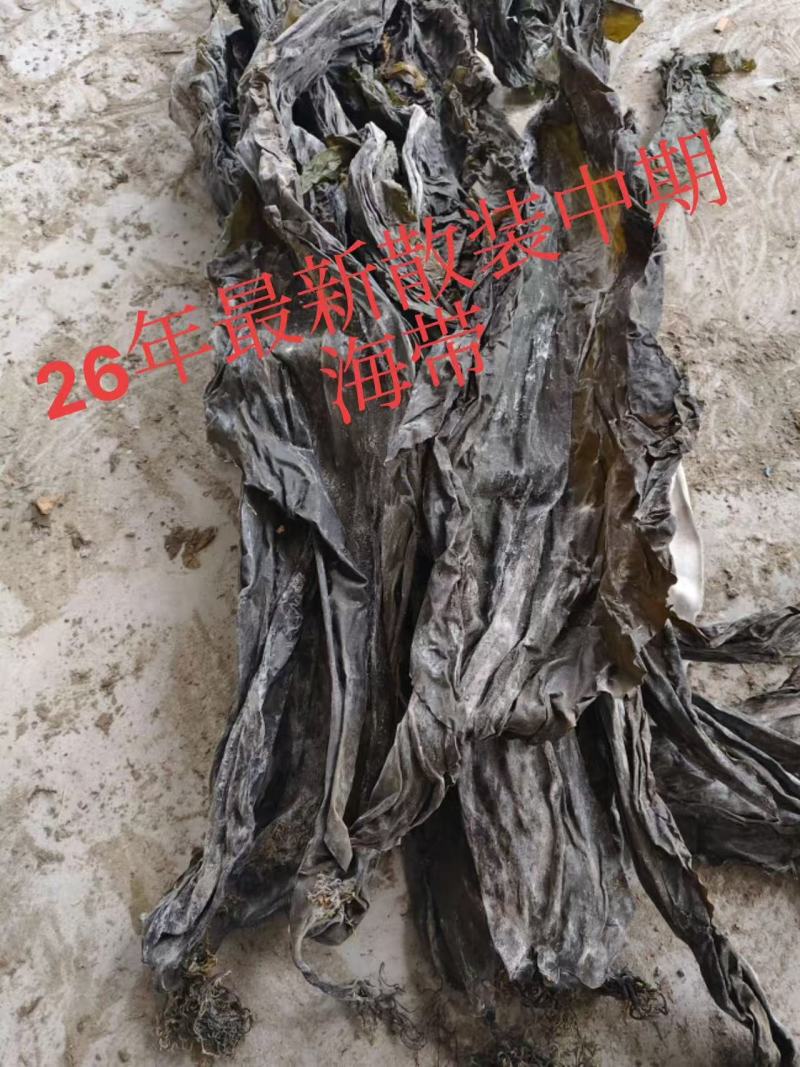 日晒整条散菜，万吨冷库现货，通货整车1000吨起批