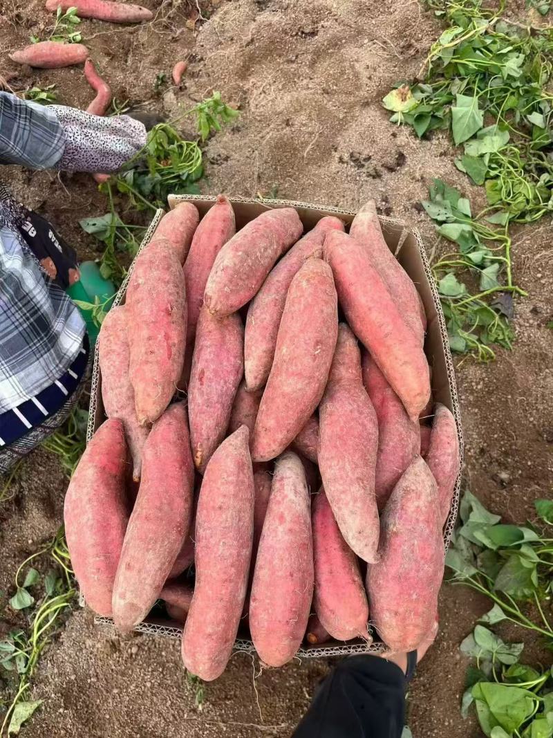 西瓜红电商货