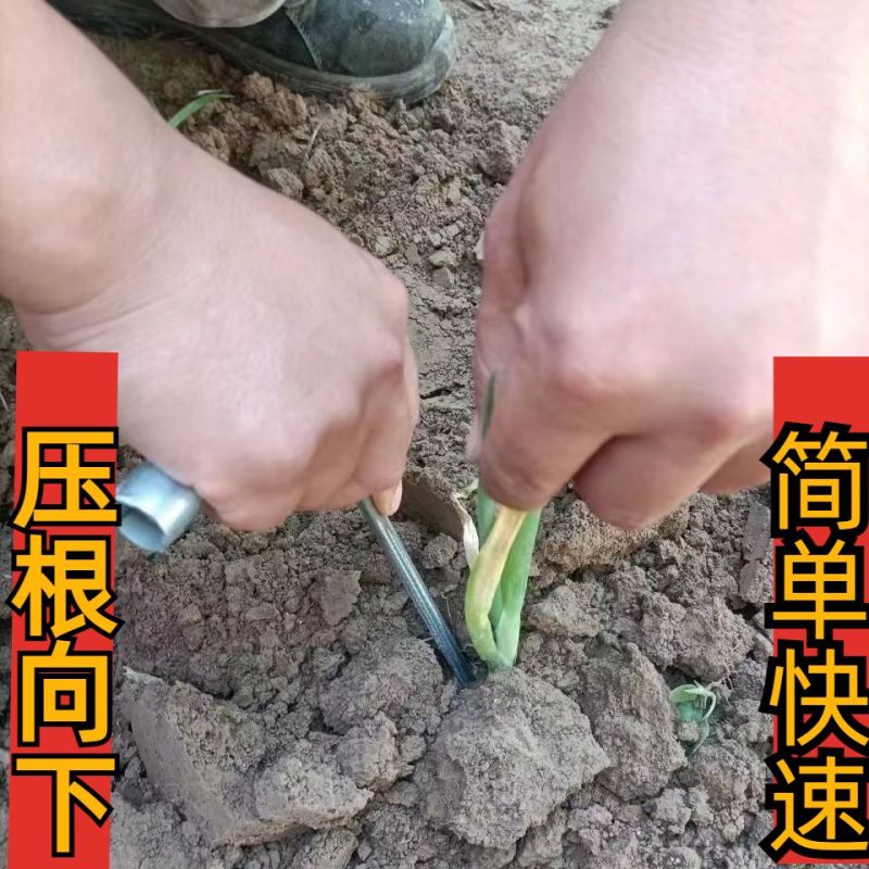 栽葱神器玉米大葱农用专用快速工具全自动移栽打孔新款懒人全