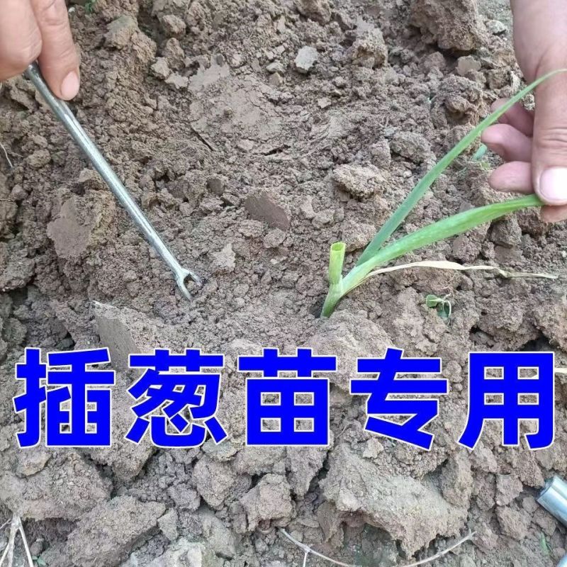 栽葱神器玉米大葱农用专用快速工具全自动移栽打孔新款懒人全