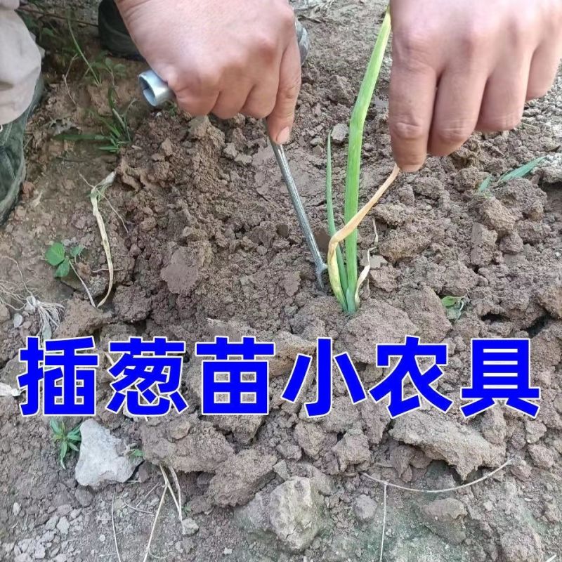 栽葱神器玉米大葱农用专用快速工具全自动移栽打孔新款懒人全