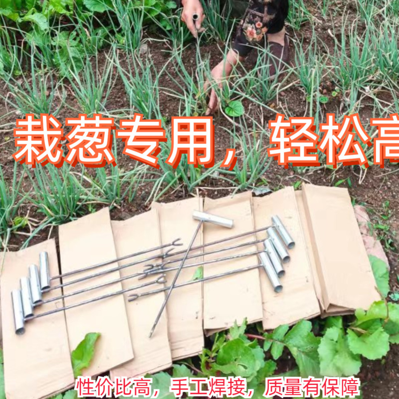 栽葱神器玉米大葱农用专用快速工具全自动移栽打孔新款懒人全