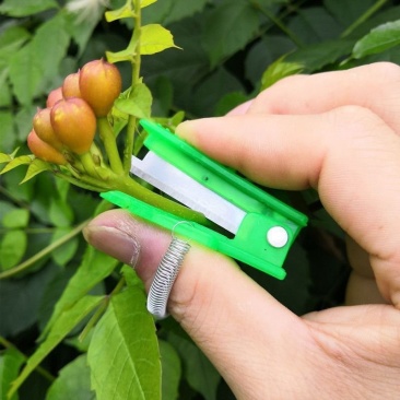 手指采摘农用小剪刀黄瓜掐尖拇指刀摘菜神器小刀手指小铡刀戒