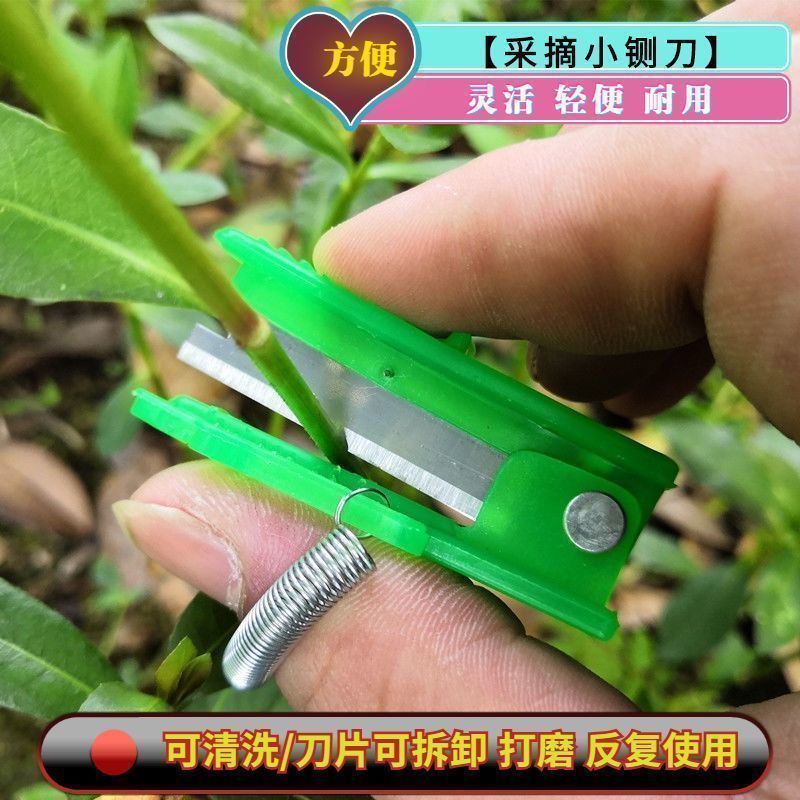 手指采摘农用小剪刀黄瓜掐尖拇指刀摘菜神器小刀手指小铡刀戒
