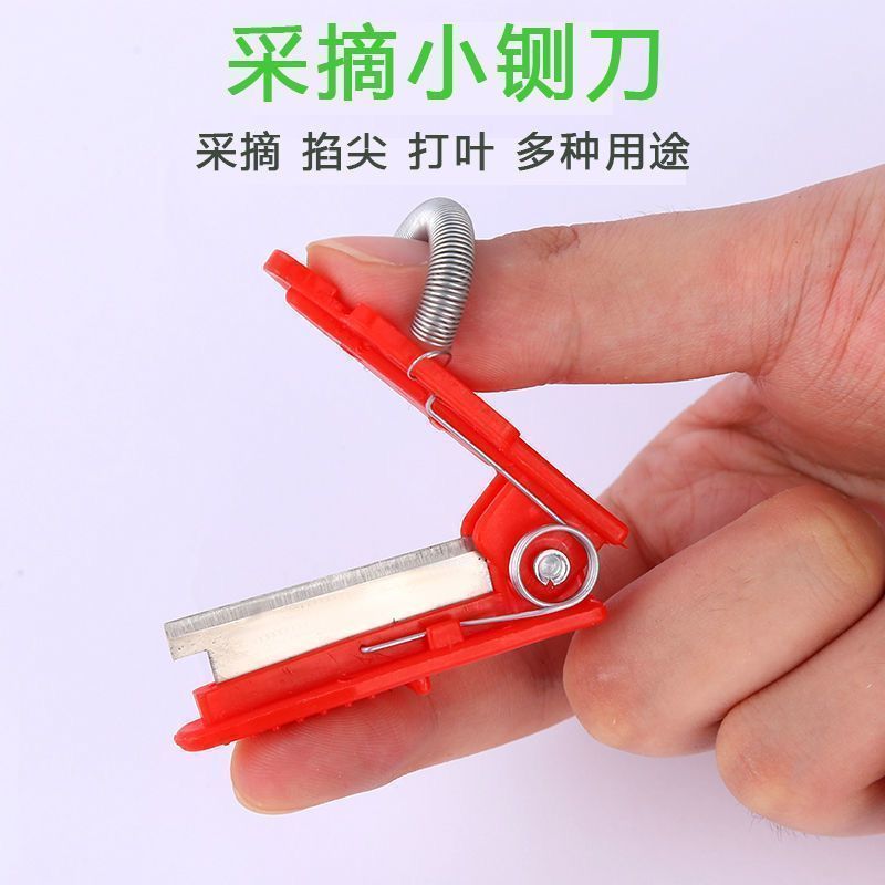 手指采摘农用小剪刀黄瓜掐尖拇指刀摘菜神器小刀手指小铡刀戒