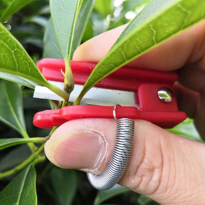 手指采摘农用小剪刀黄瓜掐尖拇指刀摘菜神器小刀手指小铡刀戒