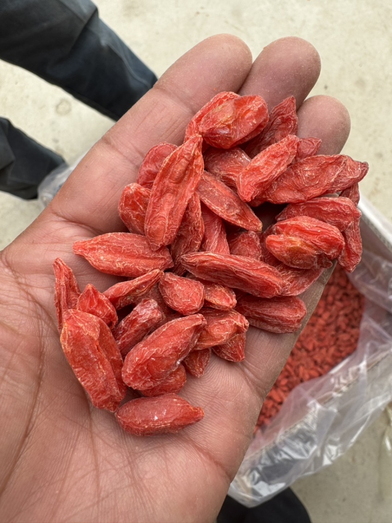 脉动锁鲜冻干