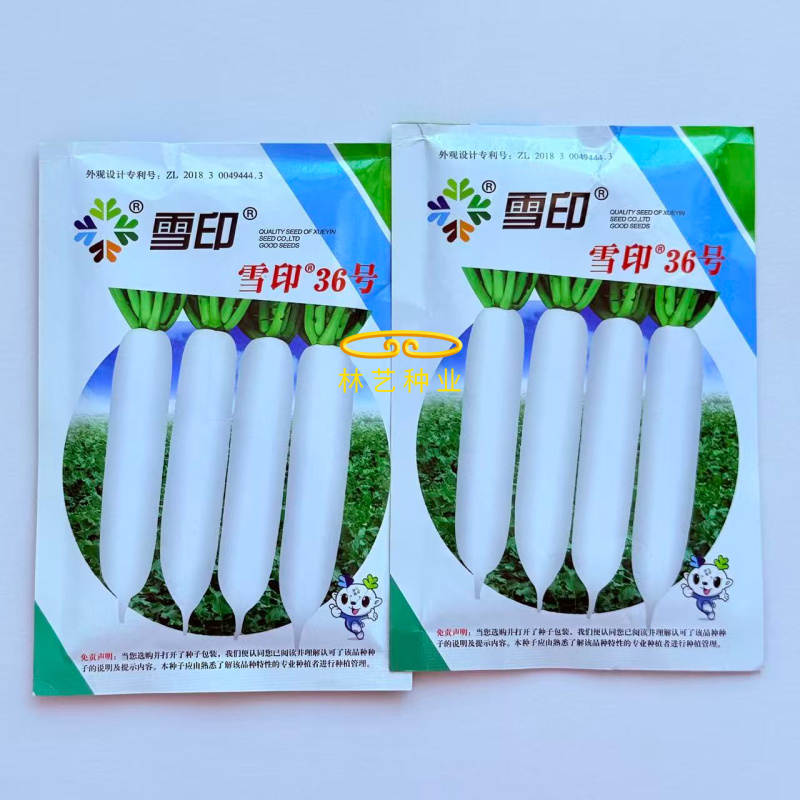 雪印36号萝卜种子根皮白色根眼小有光泽糠心晚根长粗高产抗
