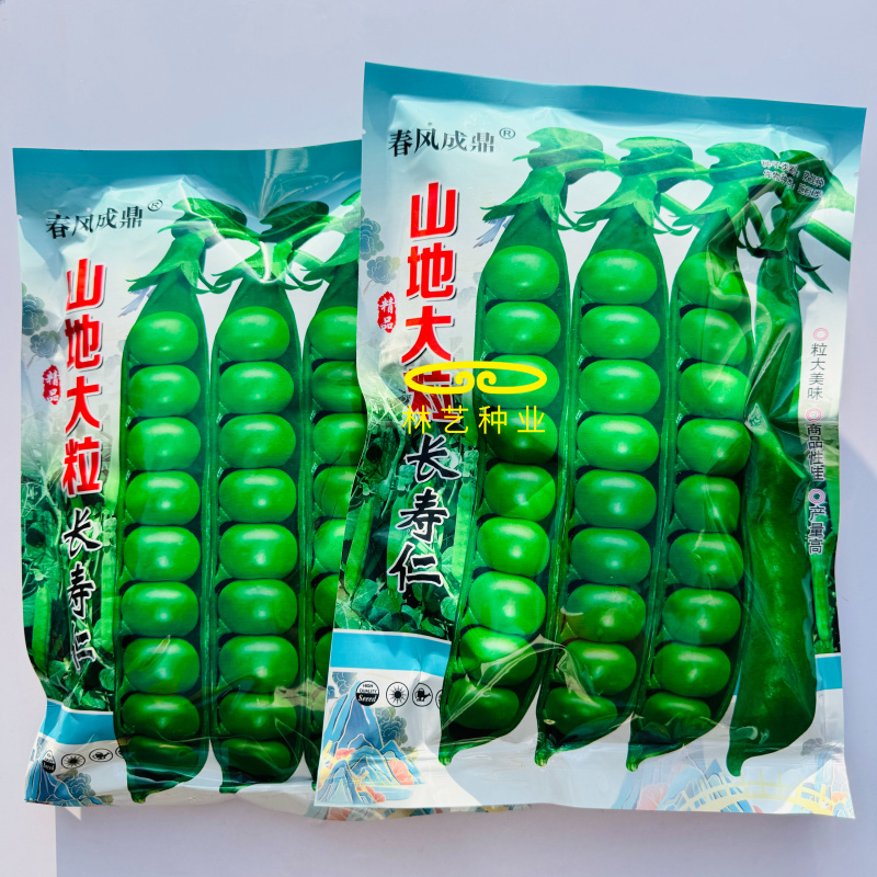 山地大粒长寿仁豌豆种子白花青豌豆种籽春秋播丰产嫩豆豌豆