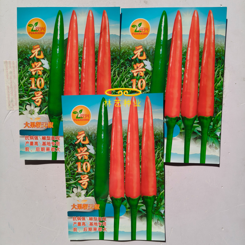 元兴10号朝天椒种子高海拔品种正品高产辣椒