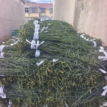 精品干豆角，豆角丝，干豇豆，批发零售代收代发