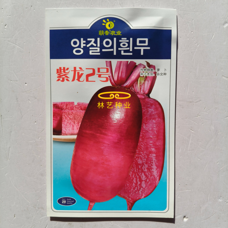 紫龙2号凤梨水果萝卜种子原装甜脆多汁紫皮紫肉水果萝卜种