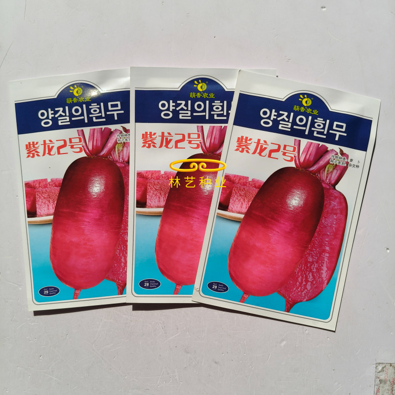 紫龙2号凤梨水果萝卜种子原装甜脆多汁紫皮紫肉水果萝卜种