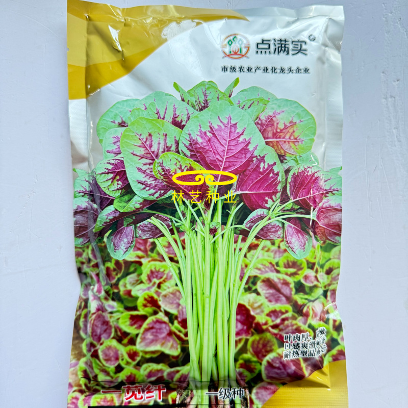 一苋纤早中熟扁圆叶苋菜种子叶色红绿绿白梗叶肉厚质嫩春夏秋