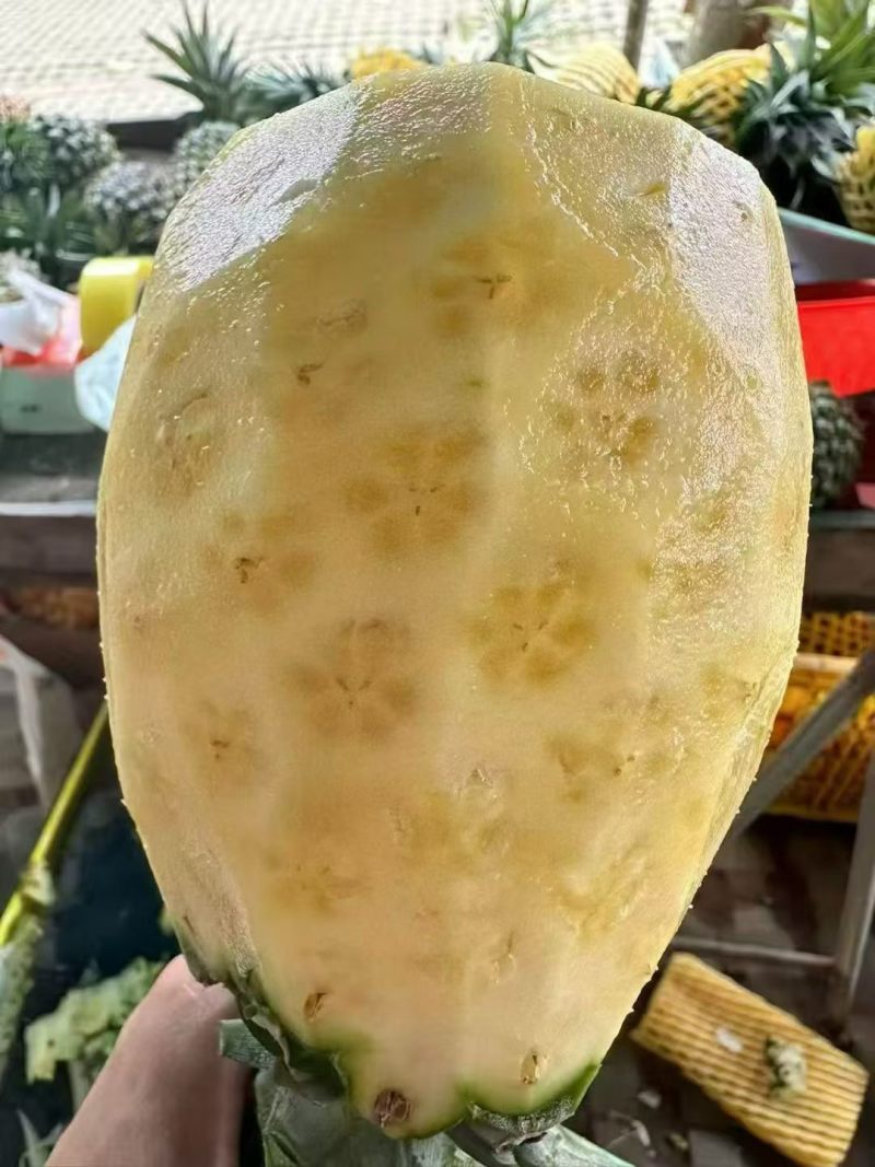 西瓜凤梨